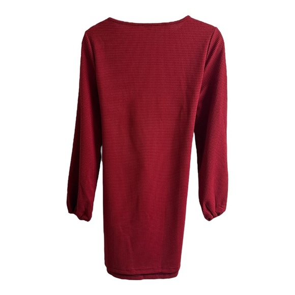 Women’s Elegant Lantern Long Sleeve Crewneck Tie Waist Dress - Picture 3 of 5